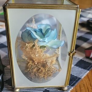 Elegant Glass Display Case with Blue Flower Accent
